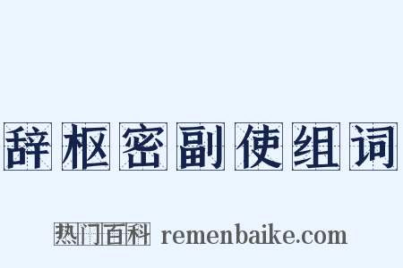 辞枢密副使组词是什么意思的图片
